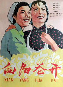 久久国内精品